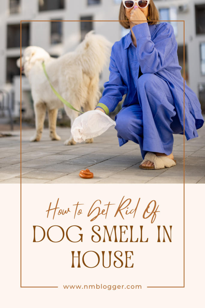 dog smell in house