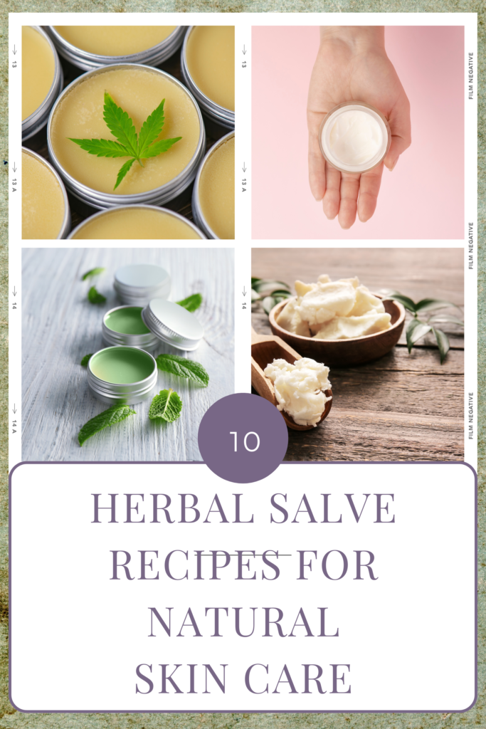 10 Herbal Salve Recipes for Natural Skin Care