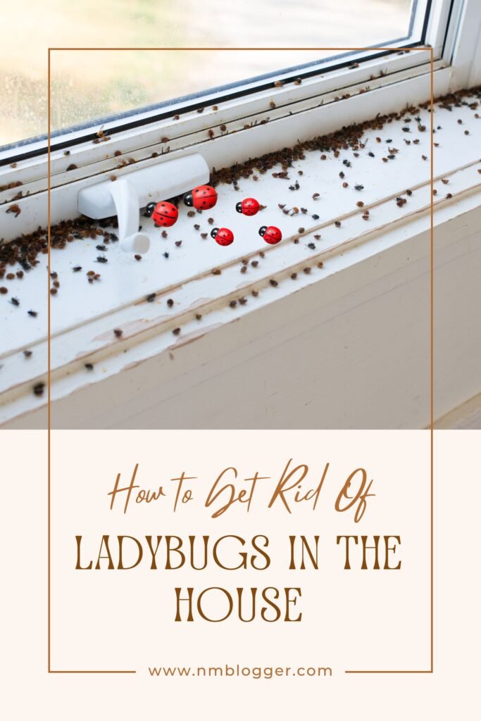 Ladybugs in the House